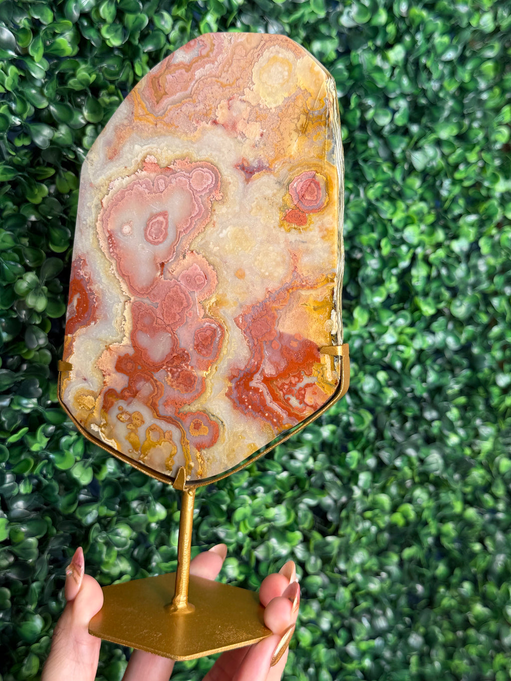 Colourful Crazy Lace Agate Slab from Indonesia F