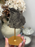 Pyritized Petrified Wood from Indonesia - D