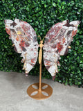 Mexican Lace Agate XL Butterfly Wings Crystal Carvings