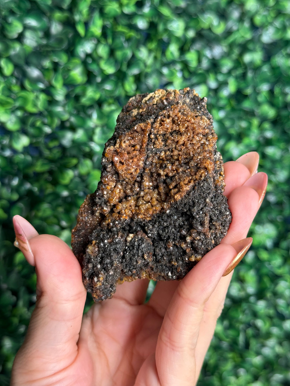 Andradite garnet from Nusa Tenggara Timur - Indonesia - H