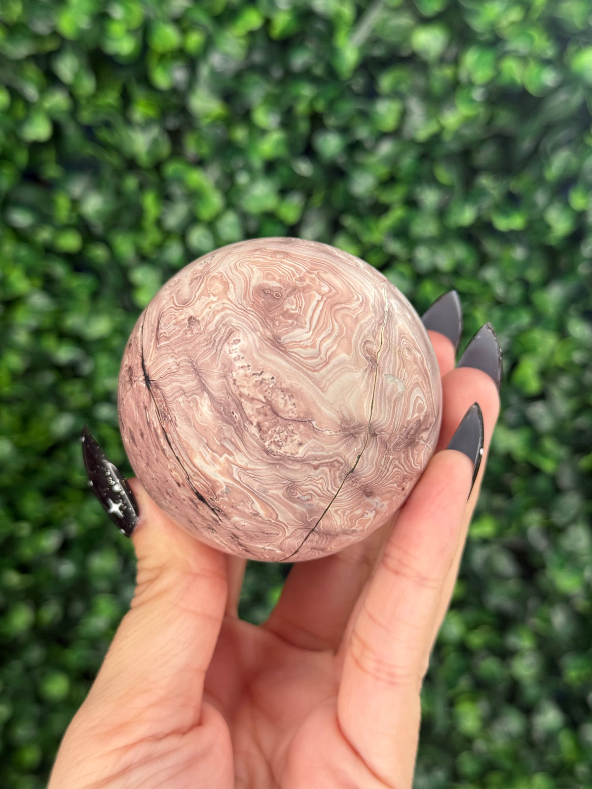 Pink Picture Jasper Spheres A