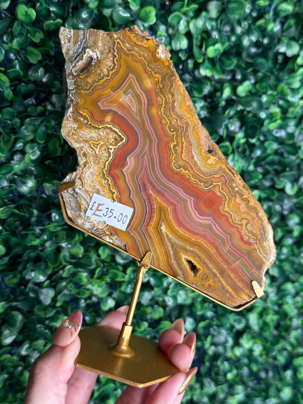 Colourful Crazy Lace Agate Slab from Indonesia - E