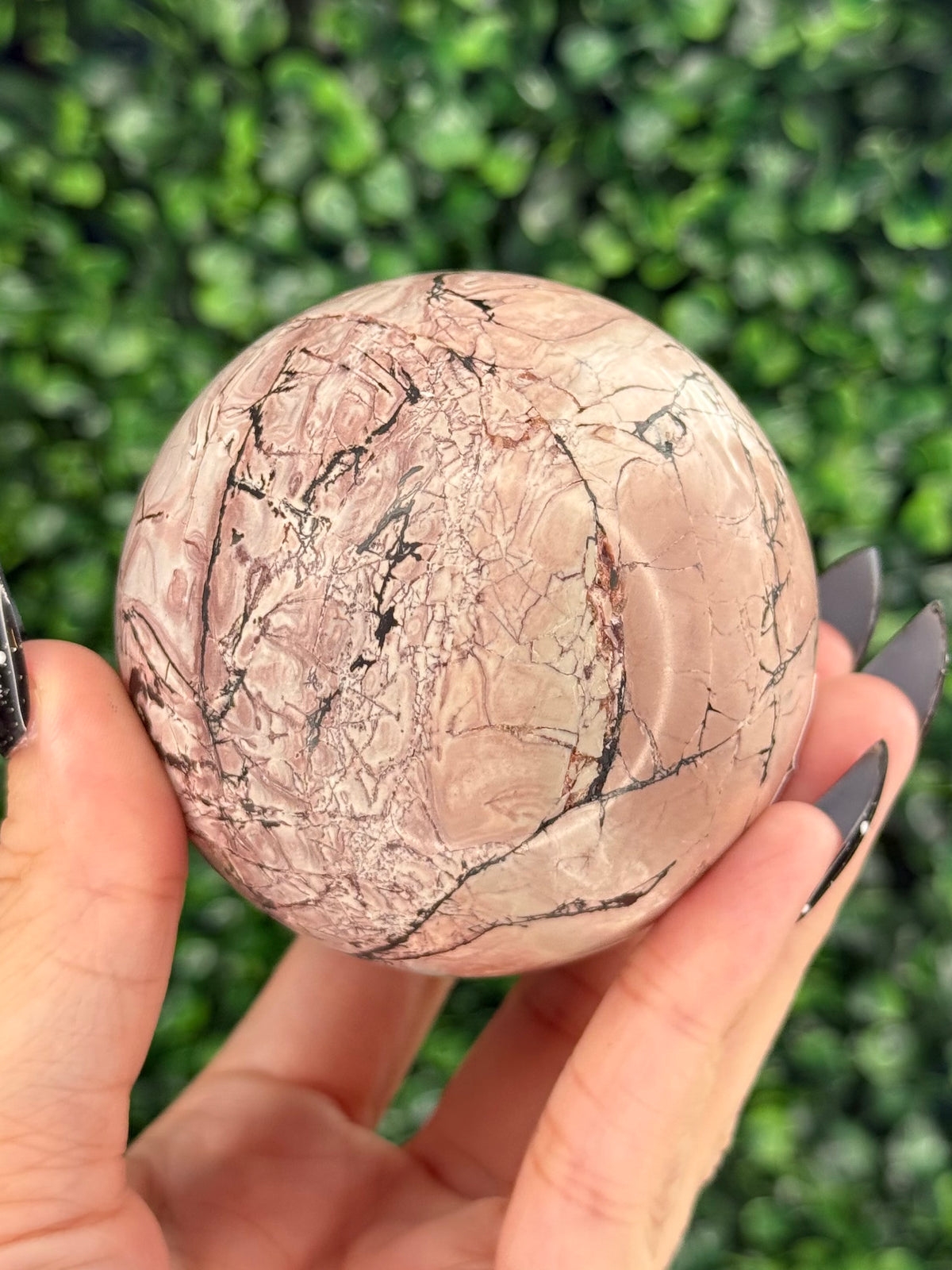 Pink Picture Jasper Spheres C