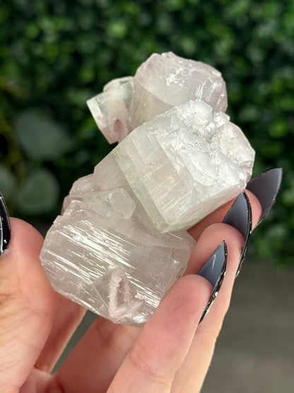 Pink & Green Apophyllite Specimens - U