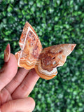 Crazy Lace Agate 3D Butterfly Crystal Carving from Indonesia D