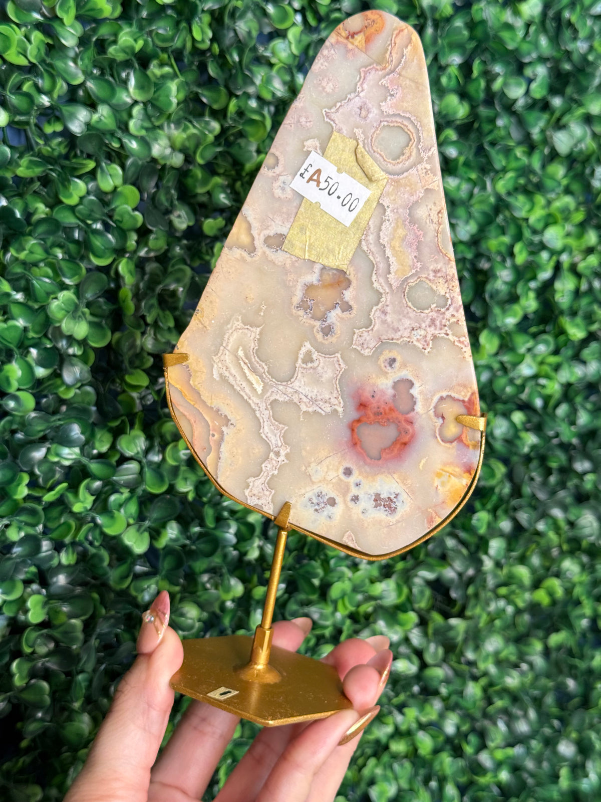 Colourful Crazy Lace Agate Slab from Indonesia A