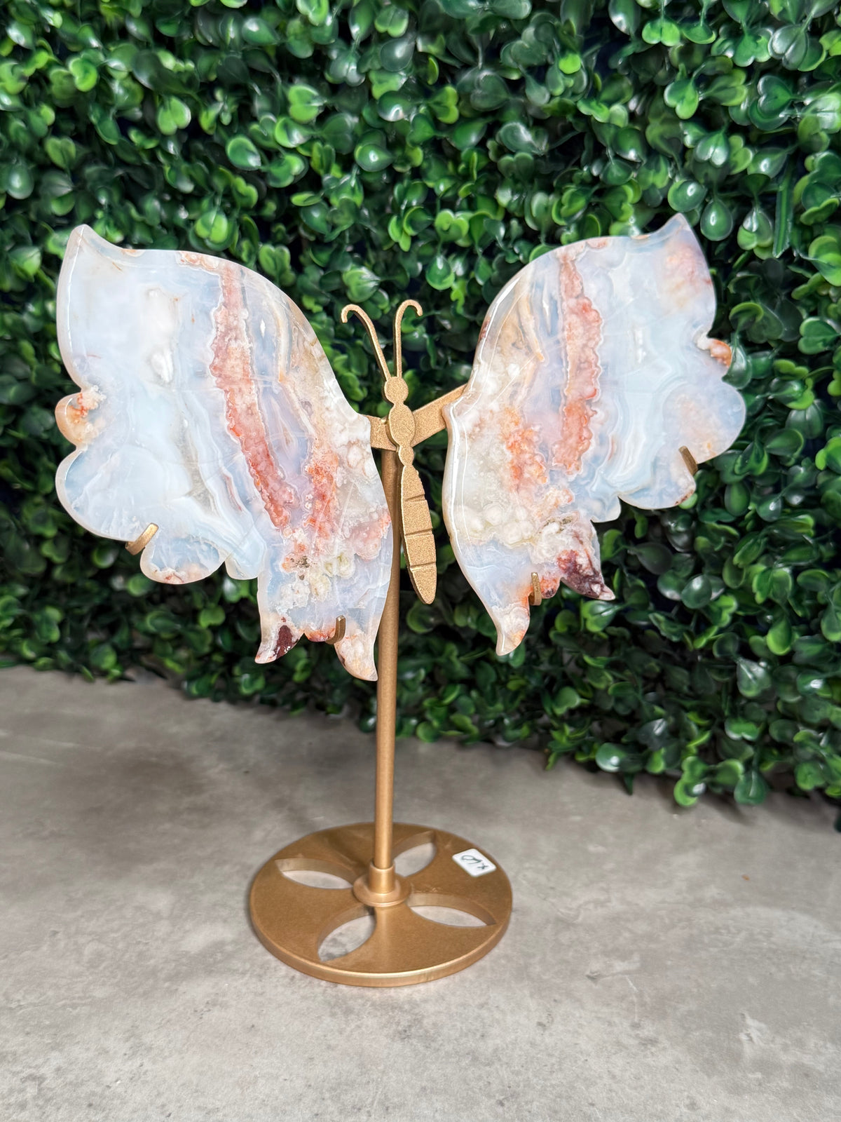 Carnelian Flower Agate Butterfly Wings Crystal Carvings - Medium Size - X