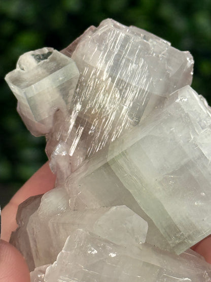 Pink & Green Apophyllite Specimens - U