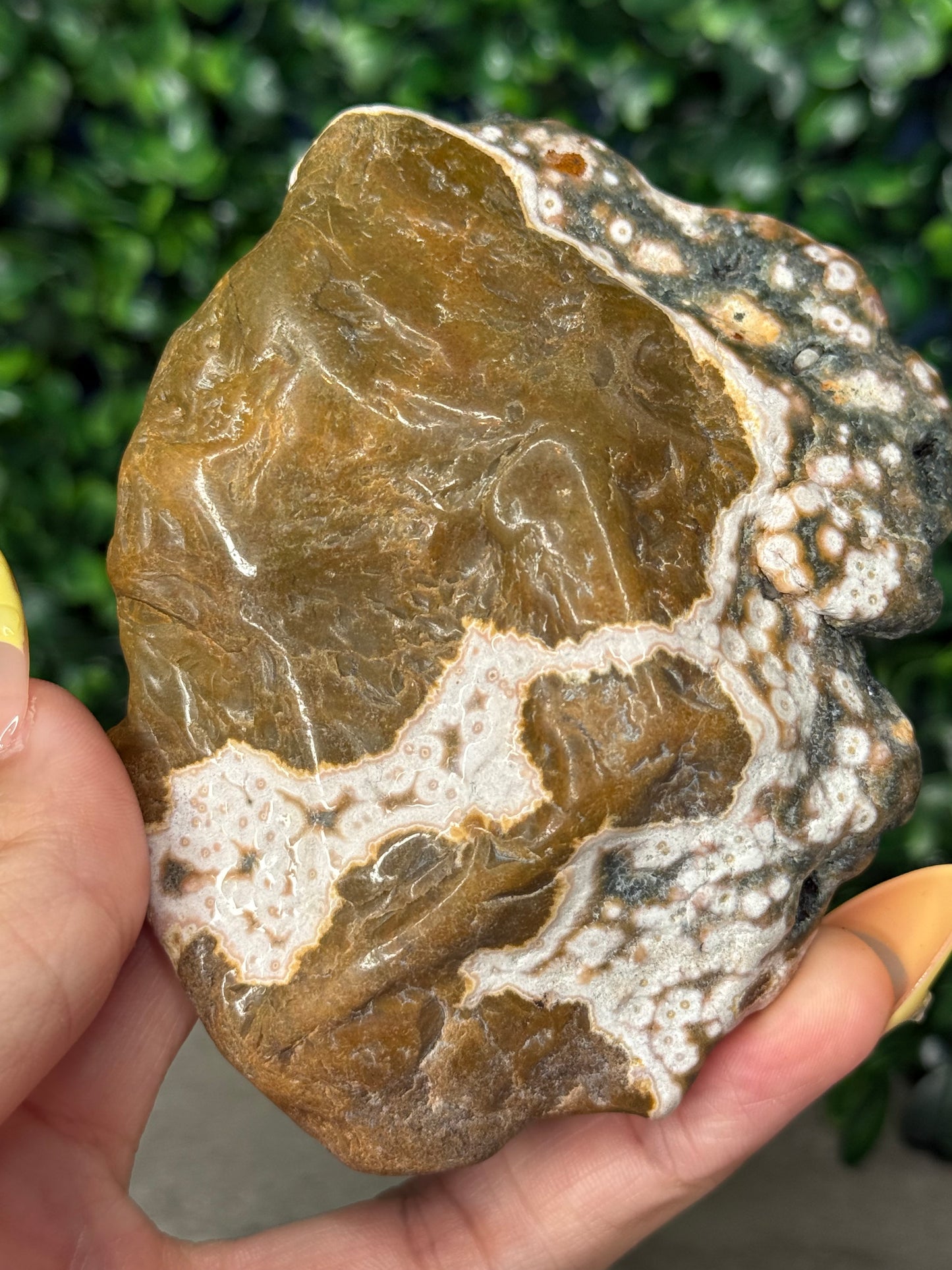 Ocean Jasper Polished Freeform Crystal Carving 168g