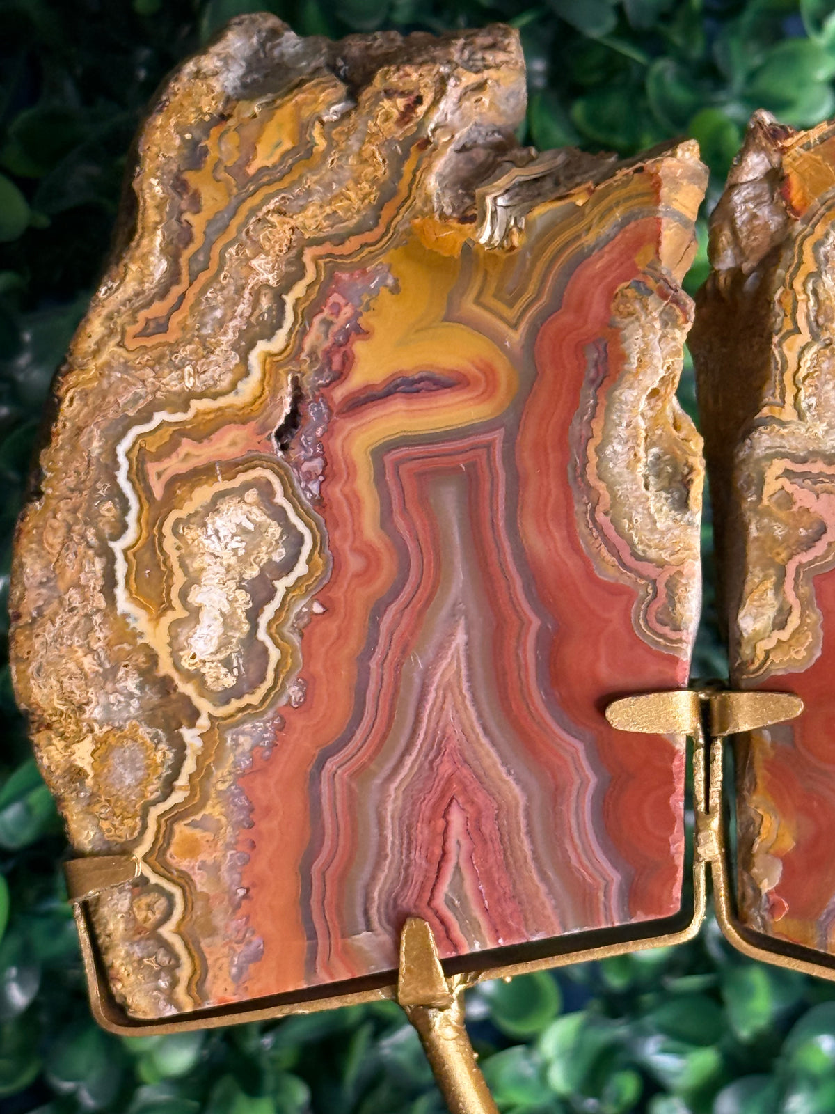 Colourful Crazy Lace Agate Slab Pair from Indonesia - L