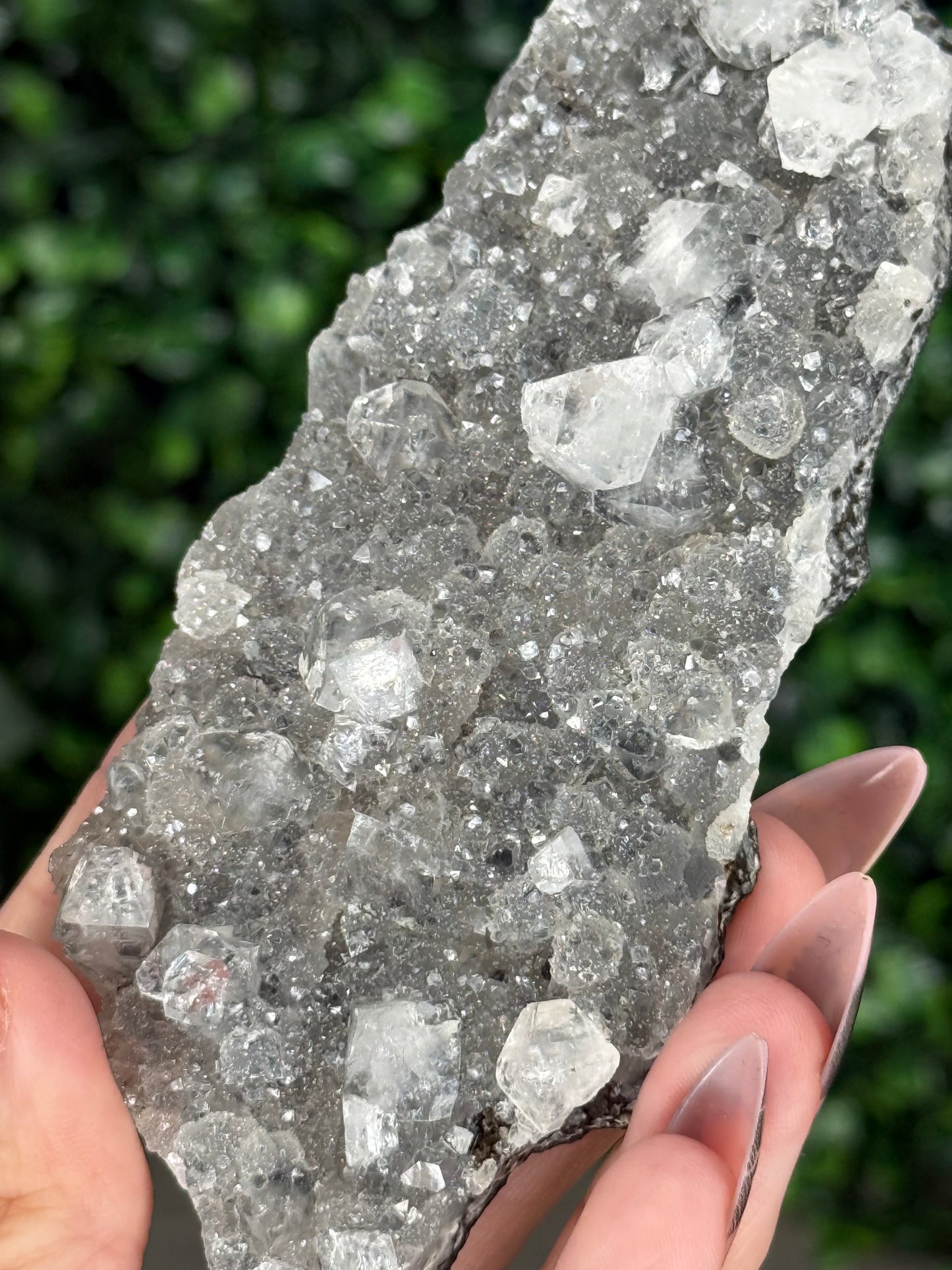 Black Chalcedony with Apophyllite M