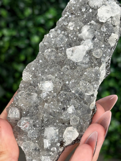 Black Chalcedony with Apophyllite M
