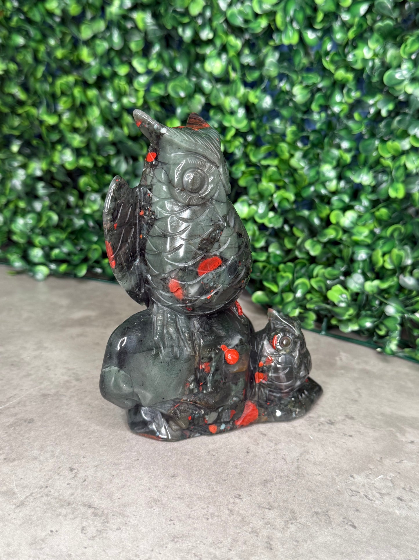 African Bloodstone Large Owl Crystal Carvings 744g