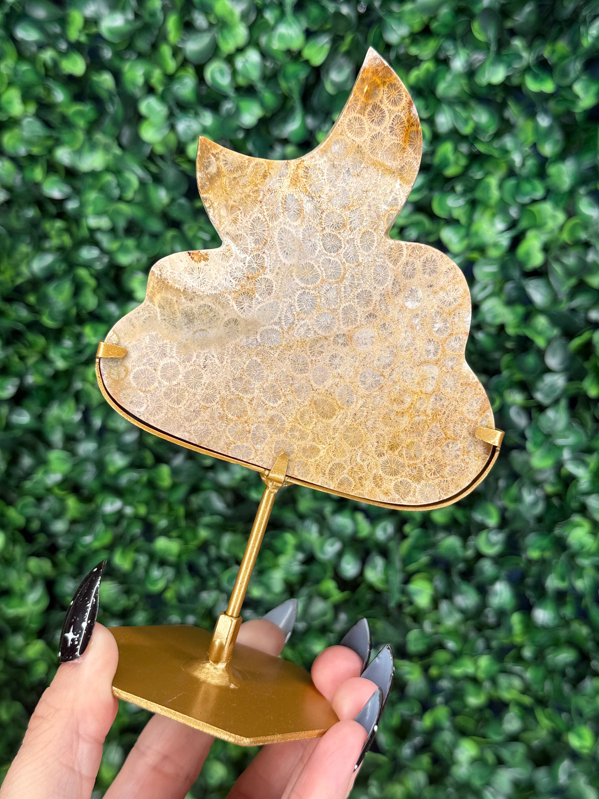 Fossil Coral Cloud & Moon Crystal Carving - B