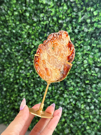 Indonesian Plume Agate slab with gold stand
