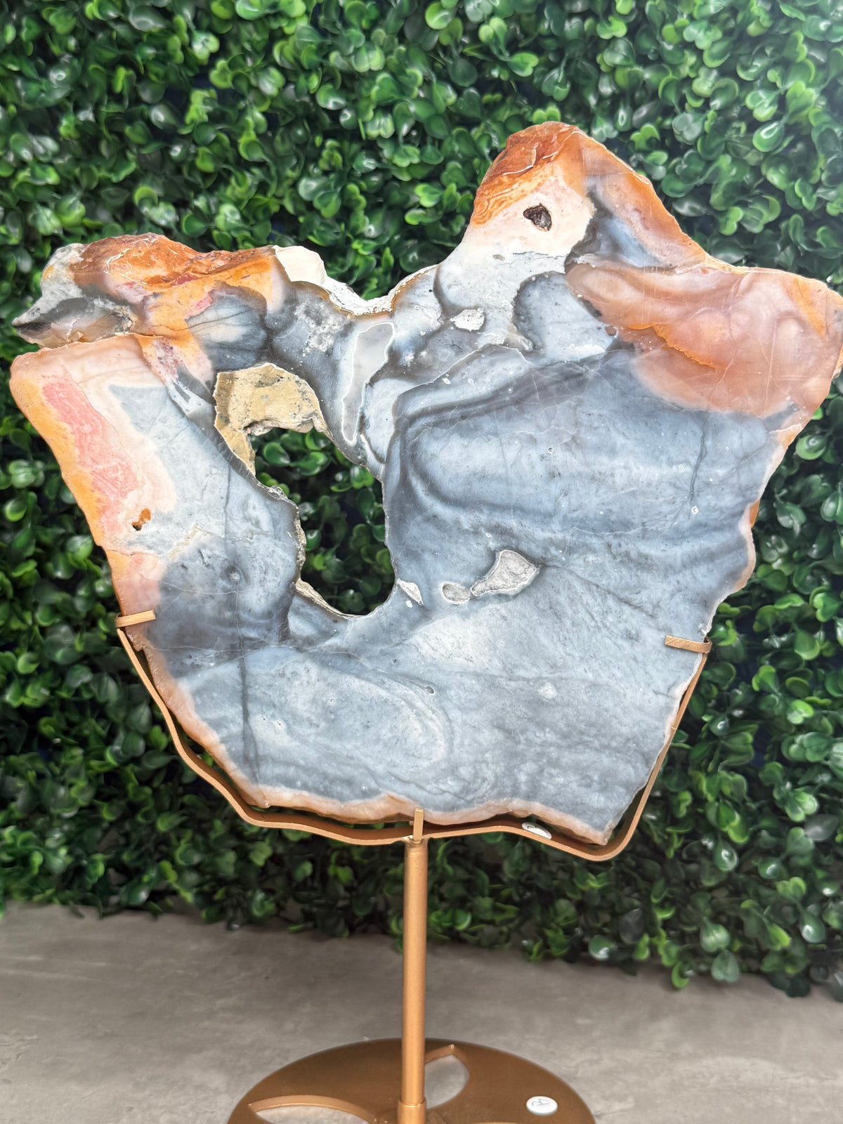 XL Pink & Blue Petrified Wood Slab With Custom Stand
