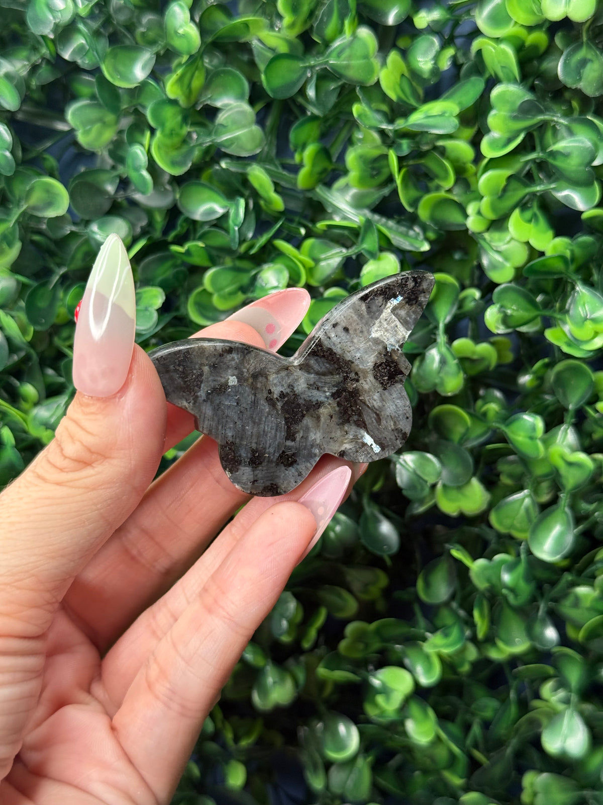 Larvikite Mini Butterfly Crystal Carvings - Pakistan