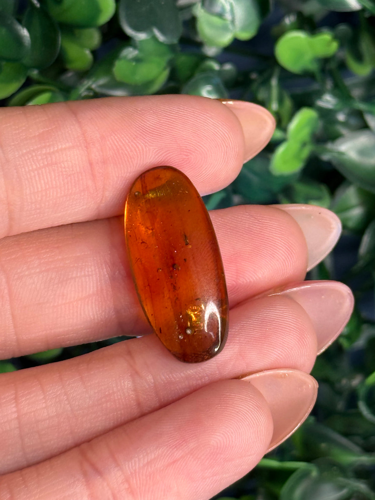 Burmese Cretaceous Amber (UV Fluorescent) with Insects and Inclusions B