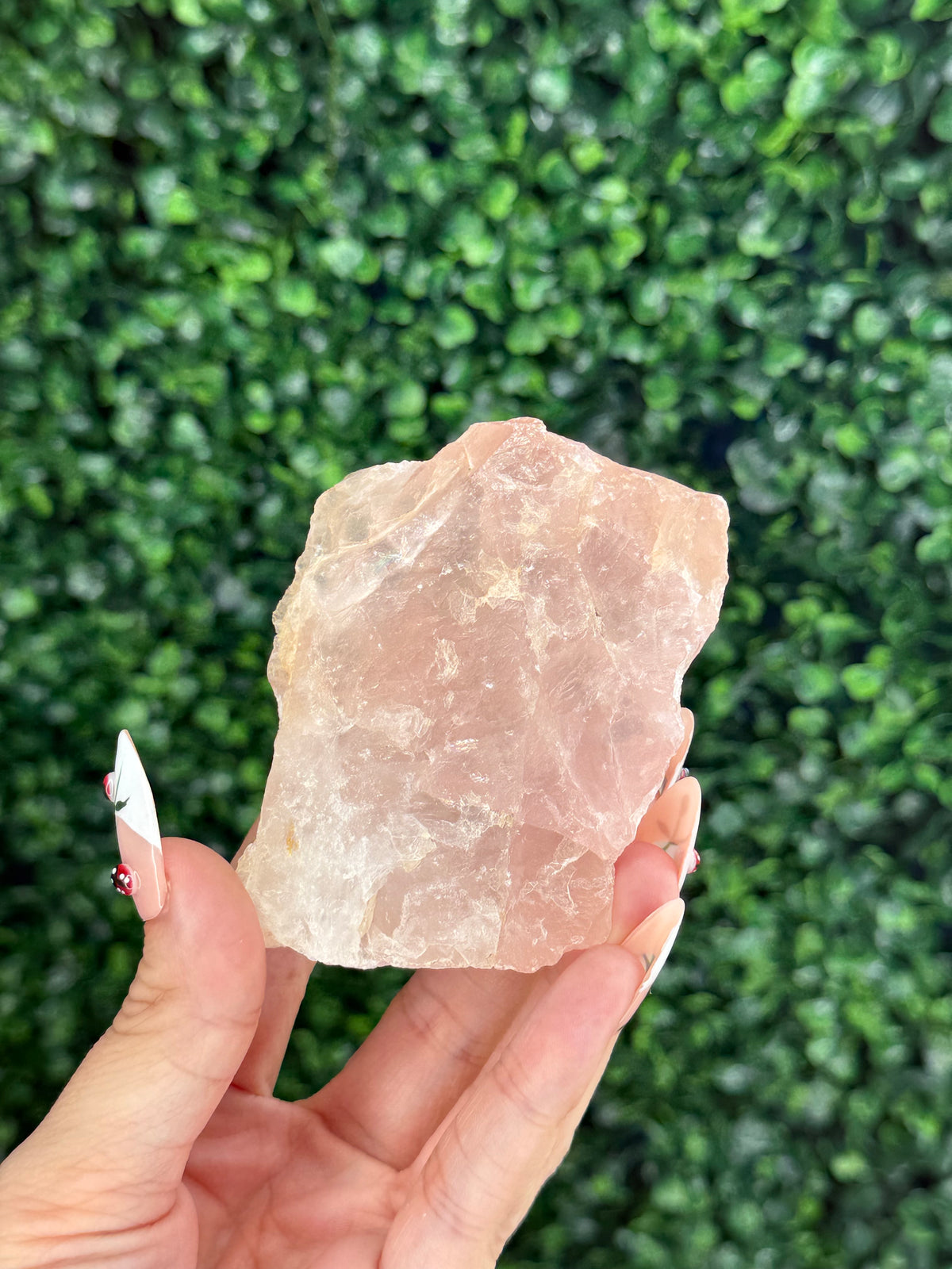 Raw Rose Quartz Crystal From Colorado USA B