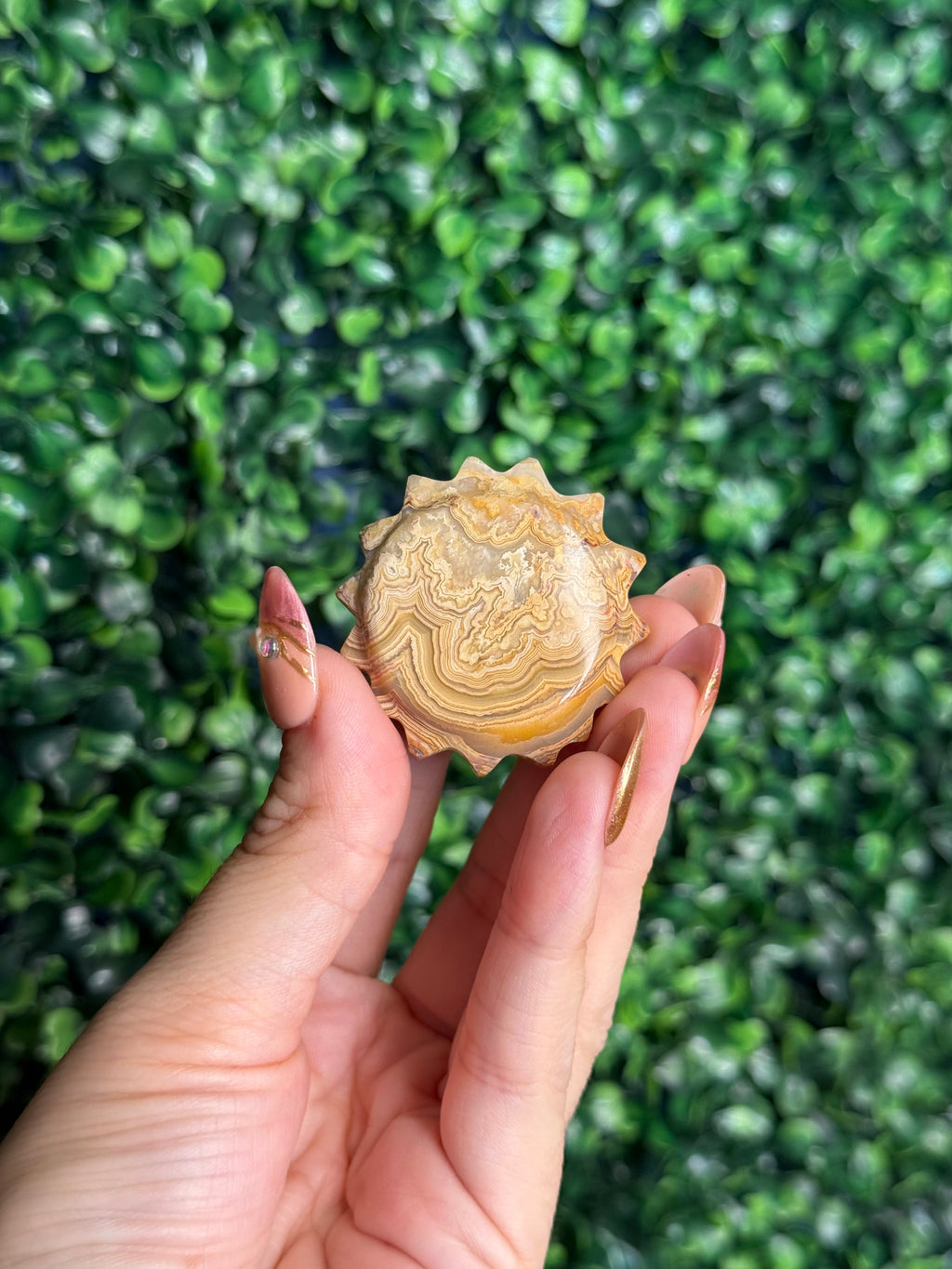Yellow Crazy Lace Agate Mini Sun X from Indonesia