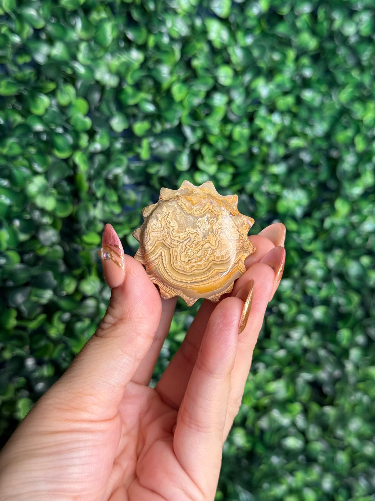 Yellow Crazy Lace Agate Mini Sun X from Indonesia