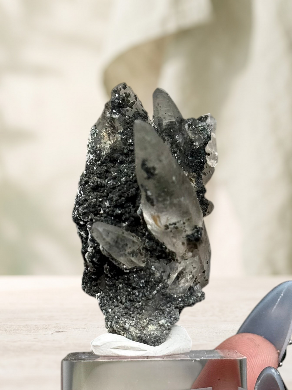 Crystal Glade laser quartz specimen from Balochistan, Pakistan, featuring slender, tapering crystals on dark matrix.