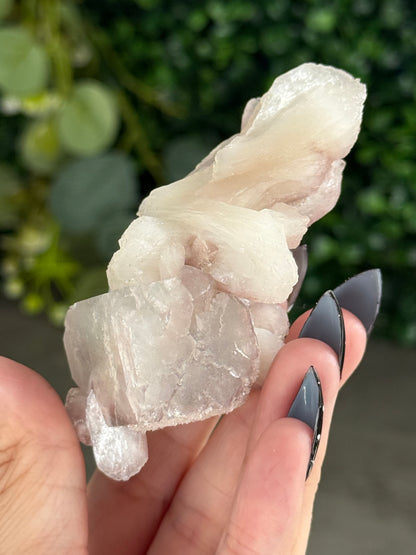Pink & Green Apophyllite Specimens - X