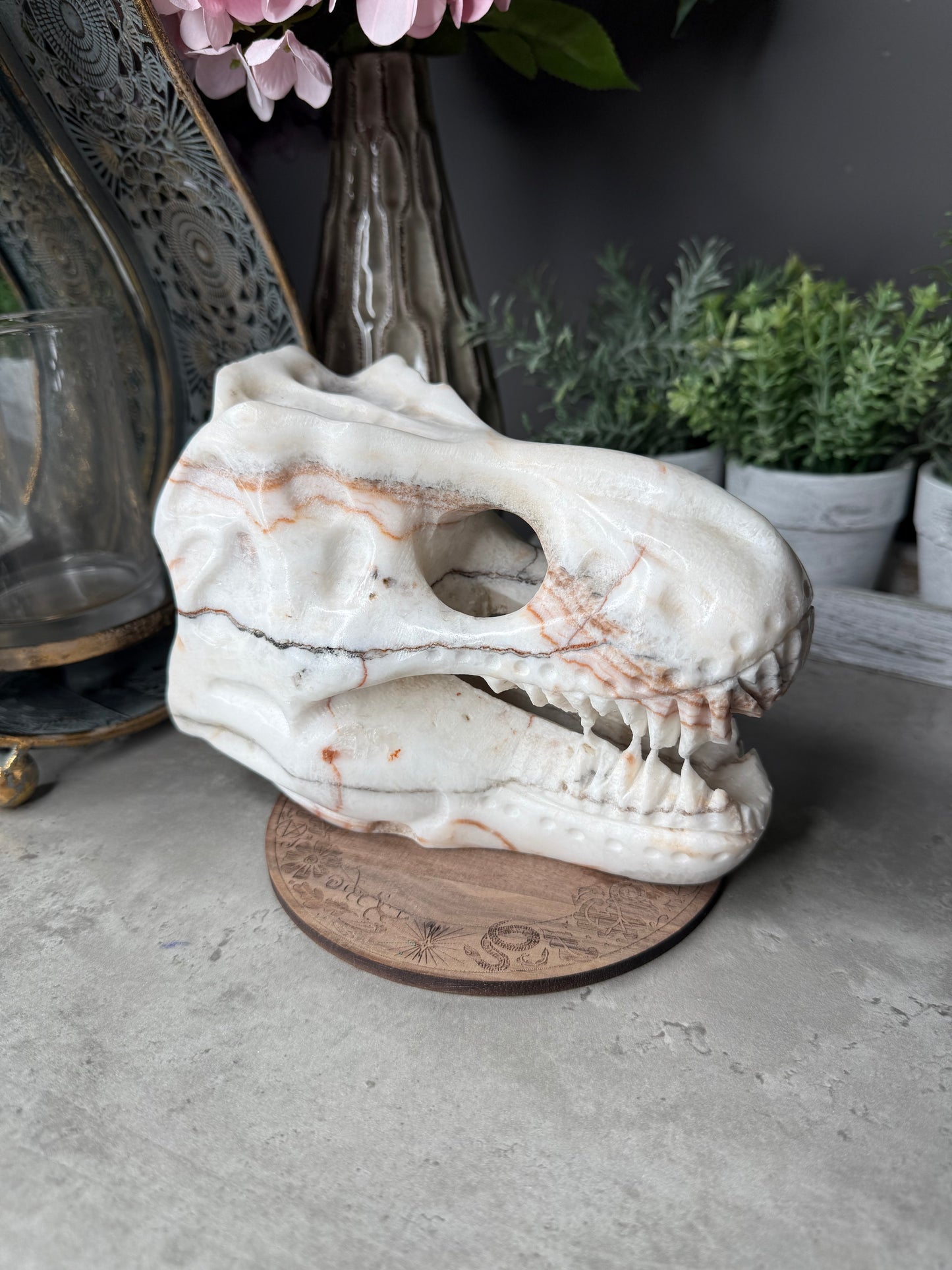 Red Banded Calcite T-Rex Skull