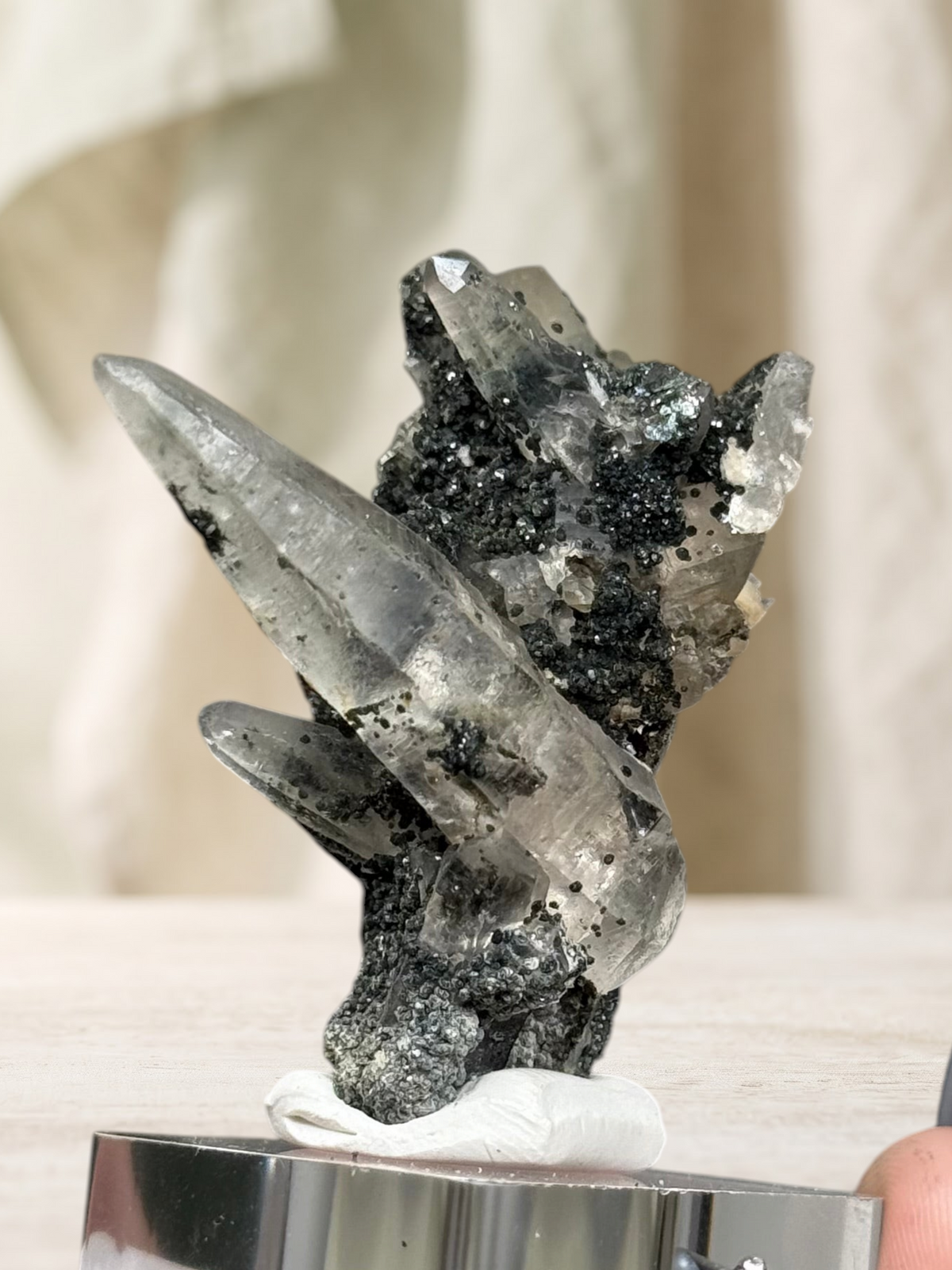 Crystal Glade laser quartz specimen from Balochistan with clear tapering crystals and dark mineral matrix on a stand