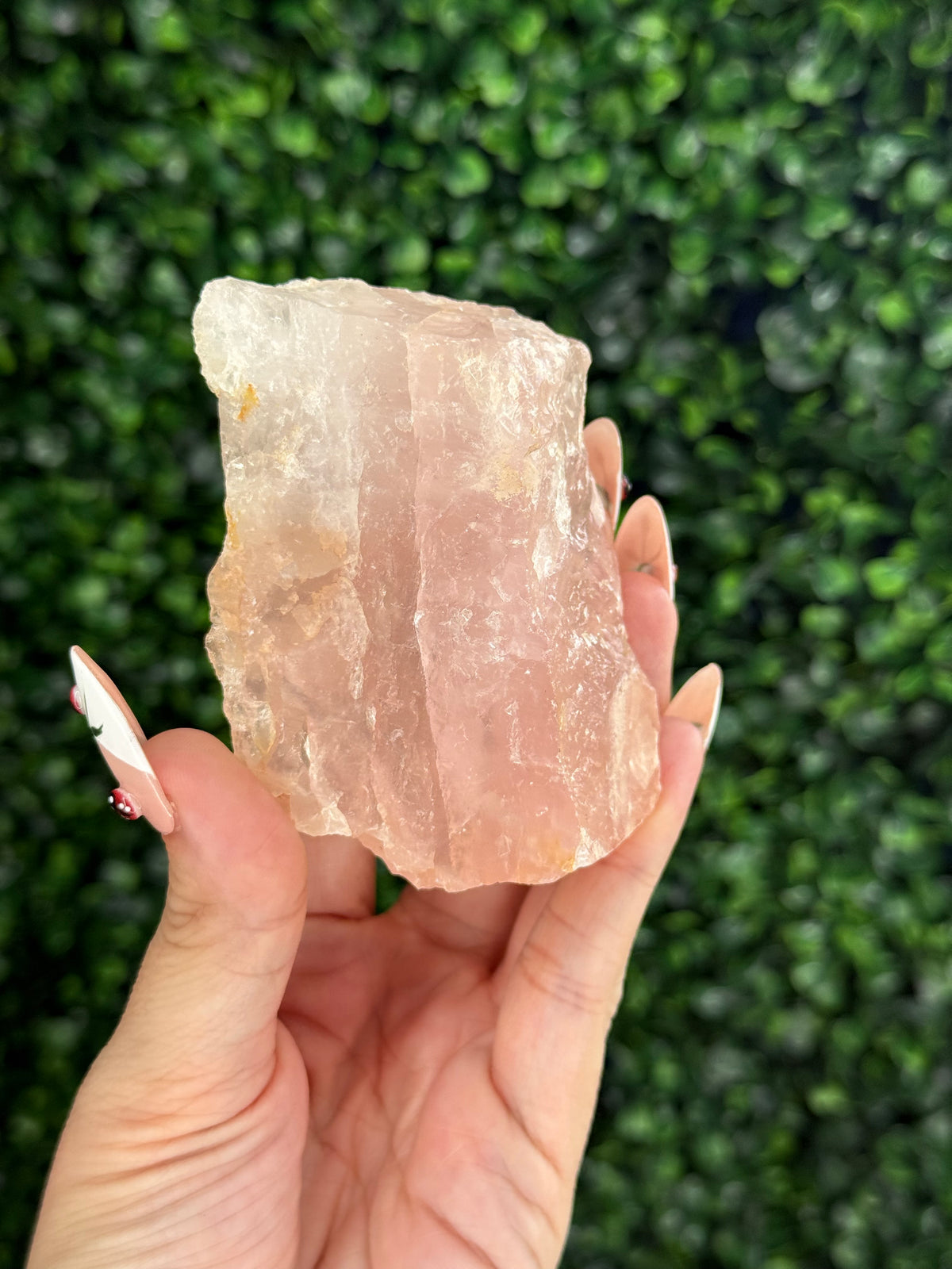 Raw Rose Quartz Crystal From Colorado USA B