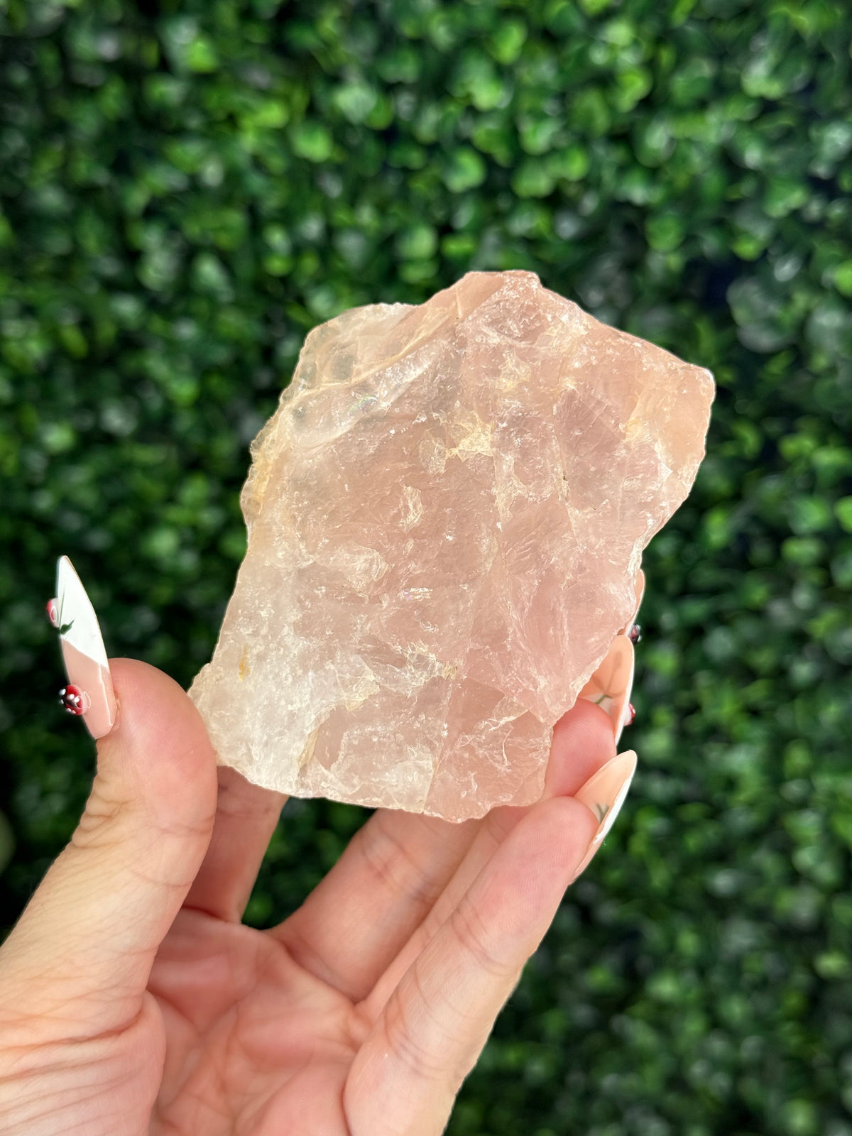 Raw Rose Quartz Crystal From Colorado USA B