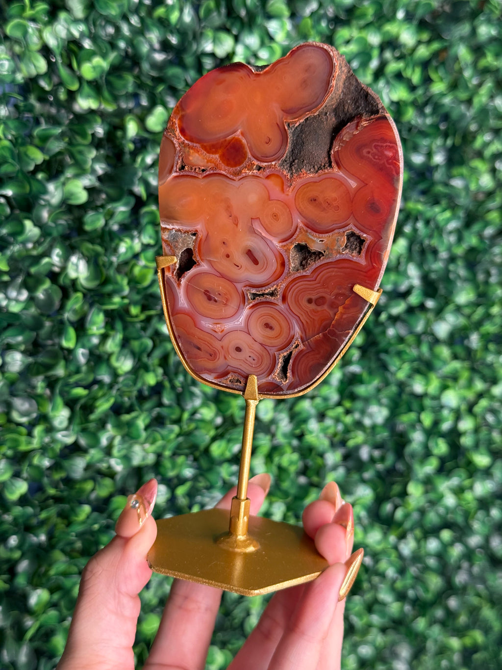 Red Carnelian Slab A from Indonesia with gold stand