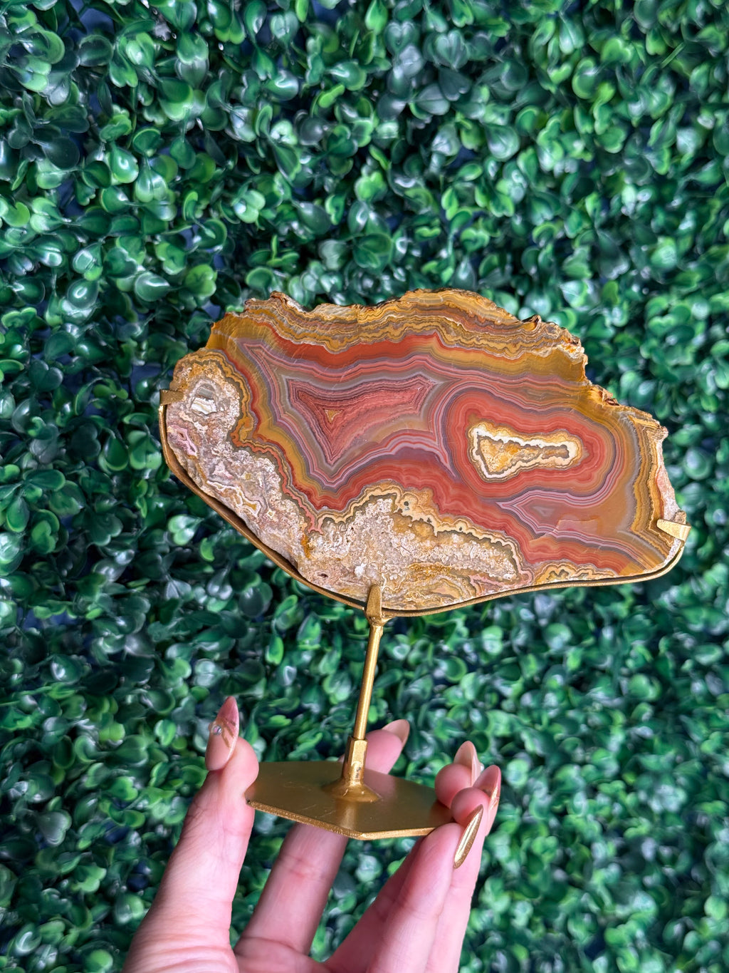 Colourful Crazy Lace Agate Slab from Indonesia - N