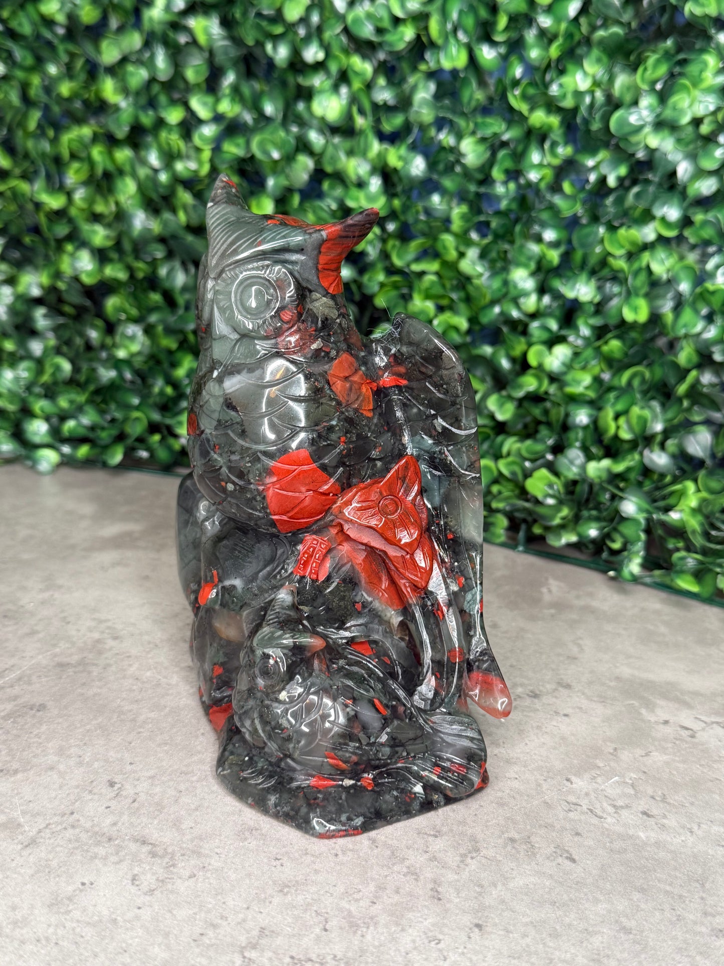 African Bloodstone Large Owl Crystal Carvings 744g