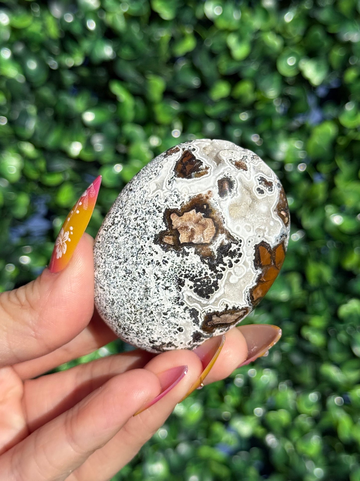 Brecciated Jasper Druzy Palmstones - Indonesia