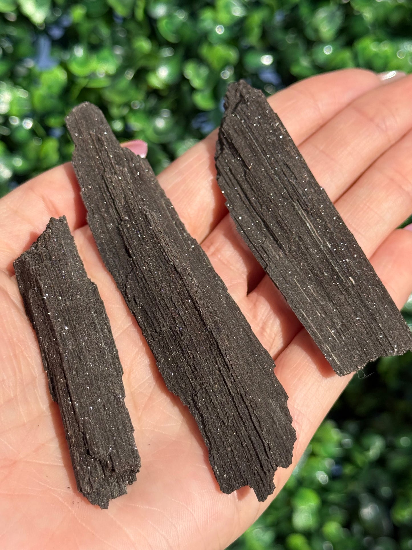 Sparkly Petrified Wood Specimens - Indonesia