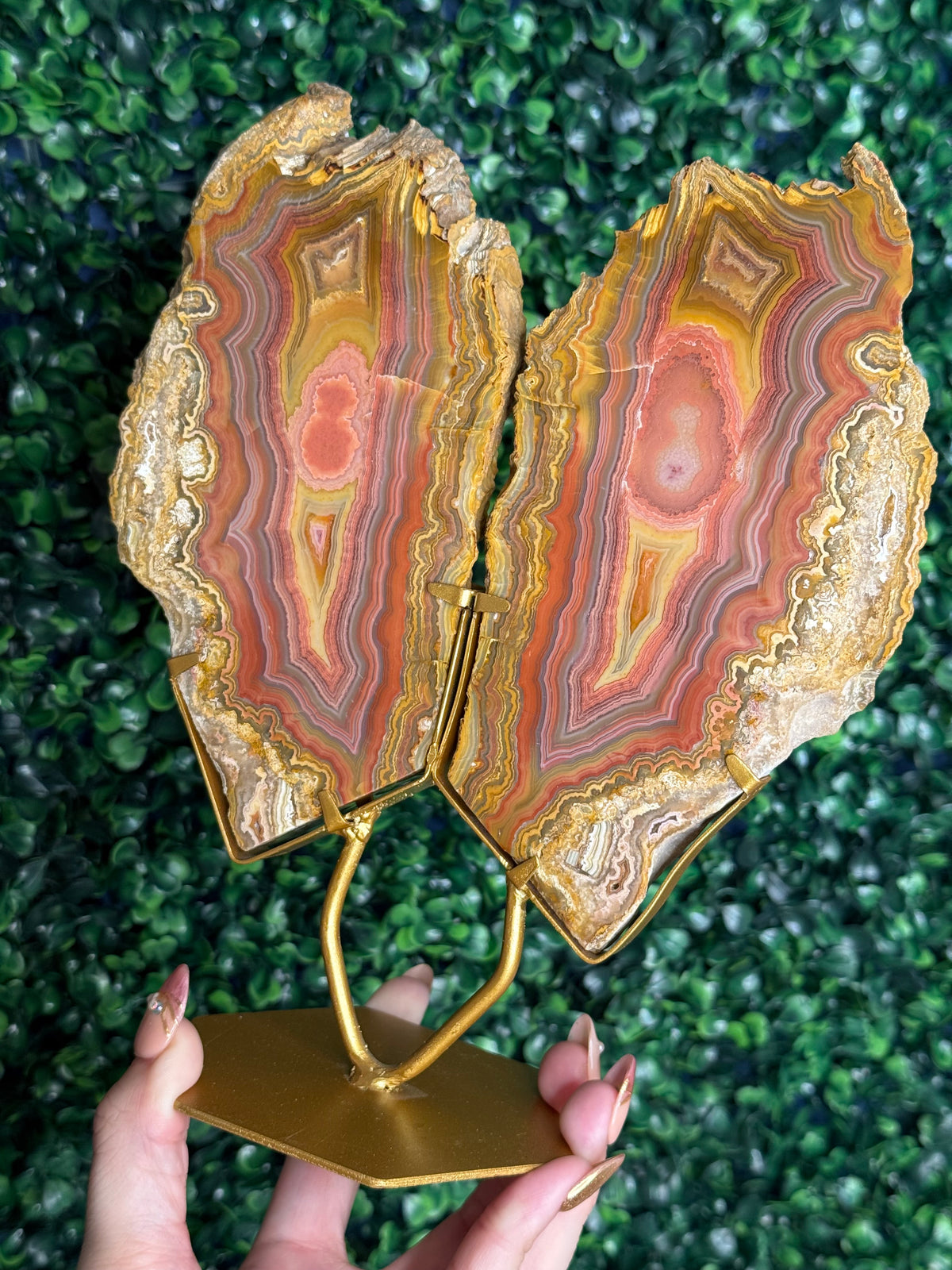 Colourful Crazy Lace Agate Slab Pair from Indonesia - X