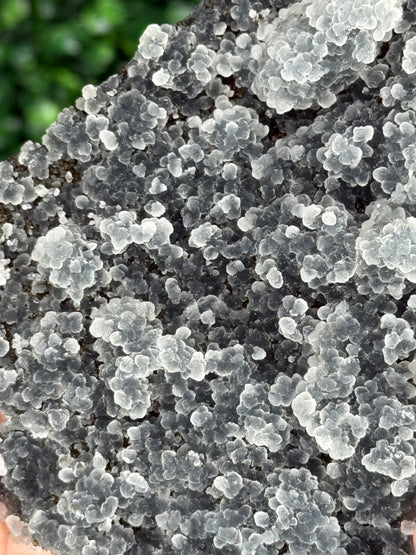 Black Chalcedony Crystal Specimen B