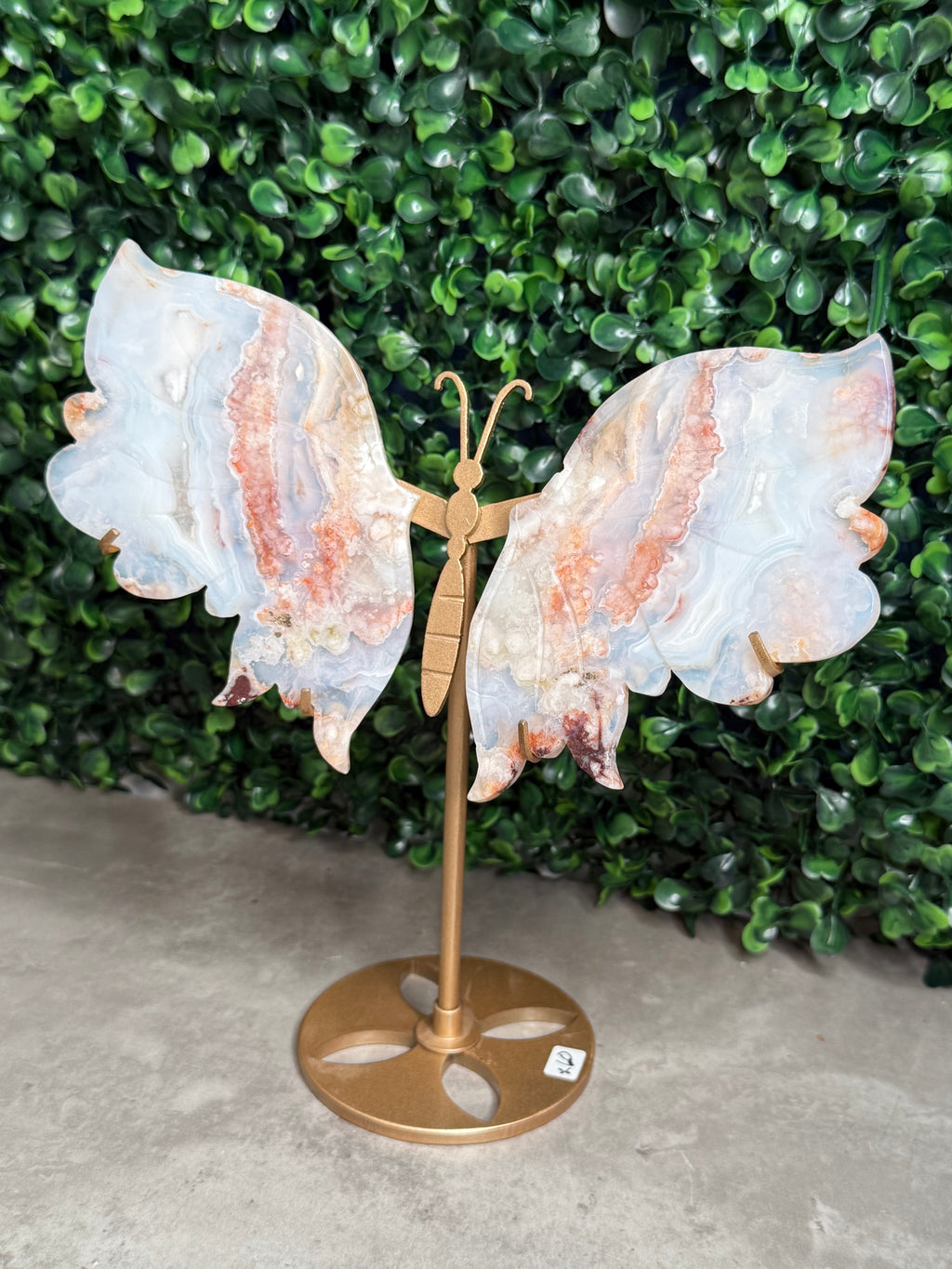 Carnelian Flower Agate Butterfly Wings Crystal Carvings - Medium Size - X