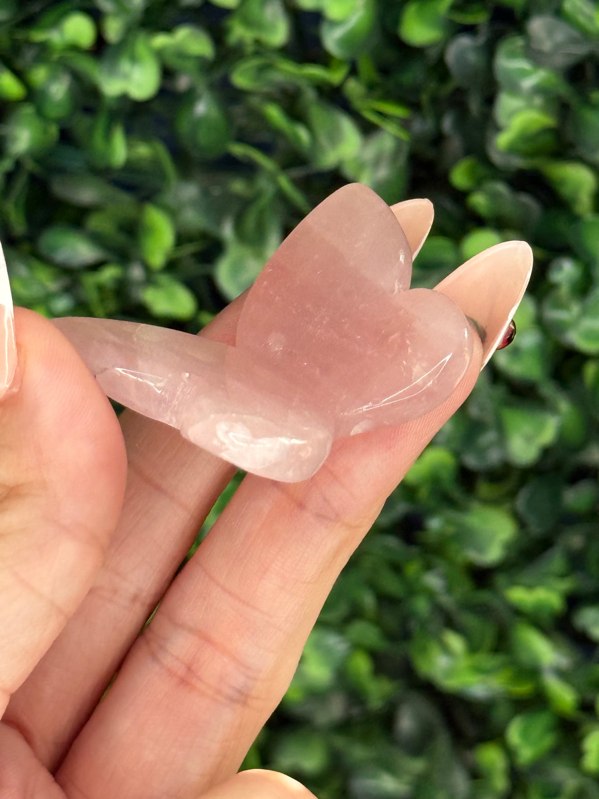 Small Rose Quartz Mini Butterfly Crystal Carvings