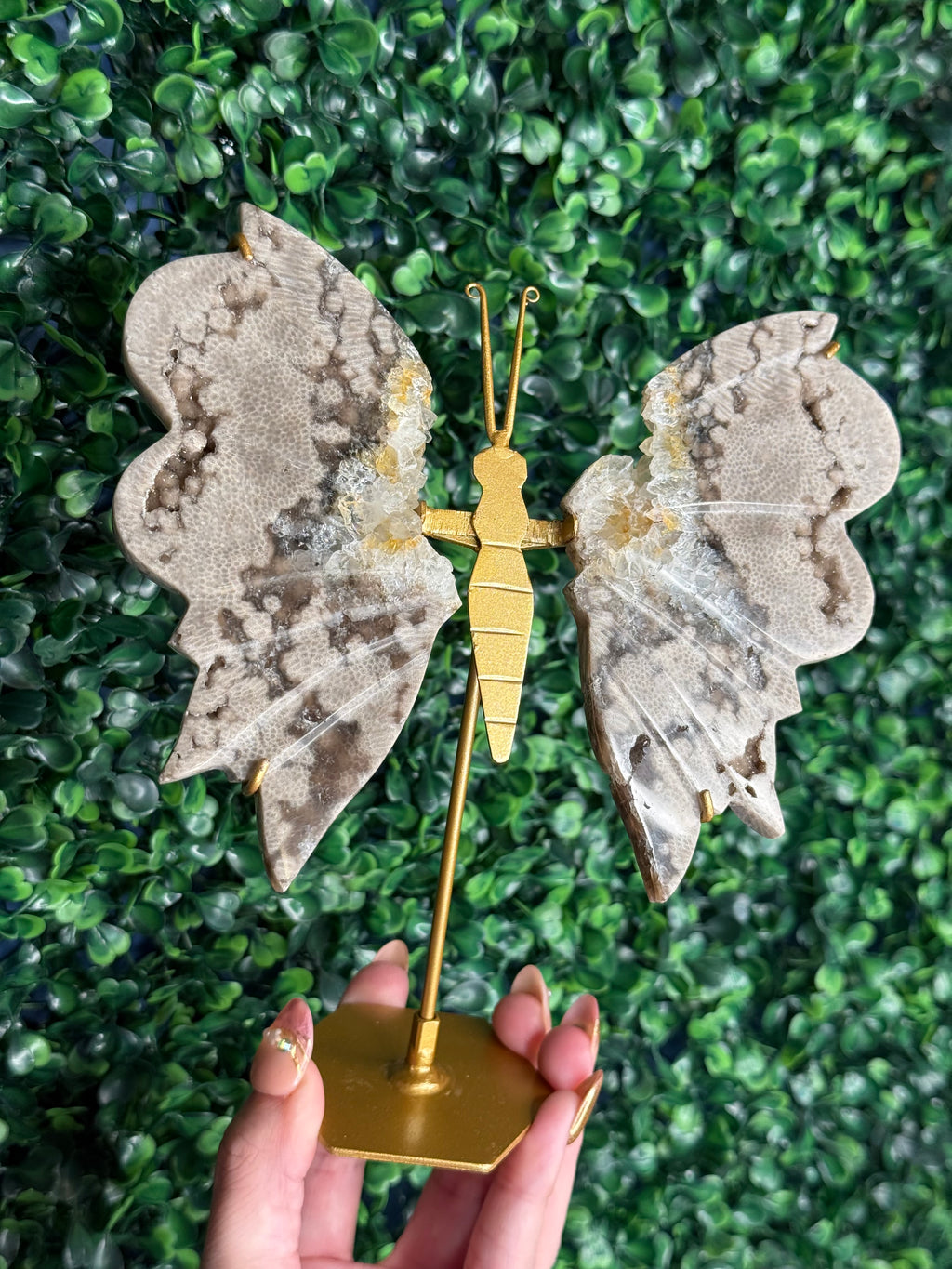 Chocolate Ocean Jasper with Quartz Butterfly Wings from Indonesia