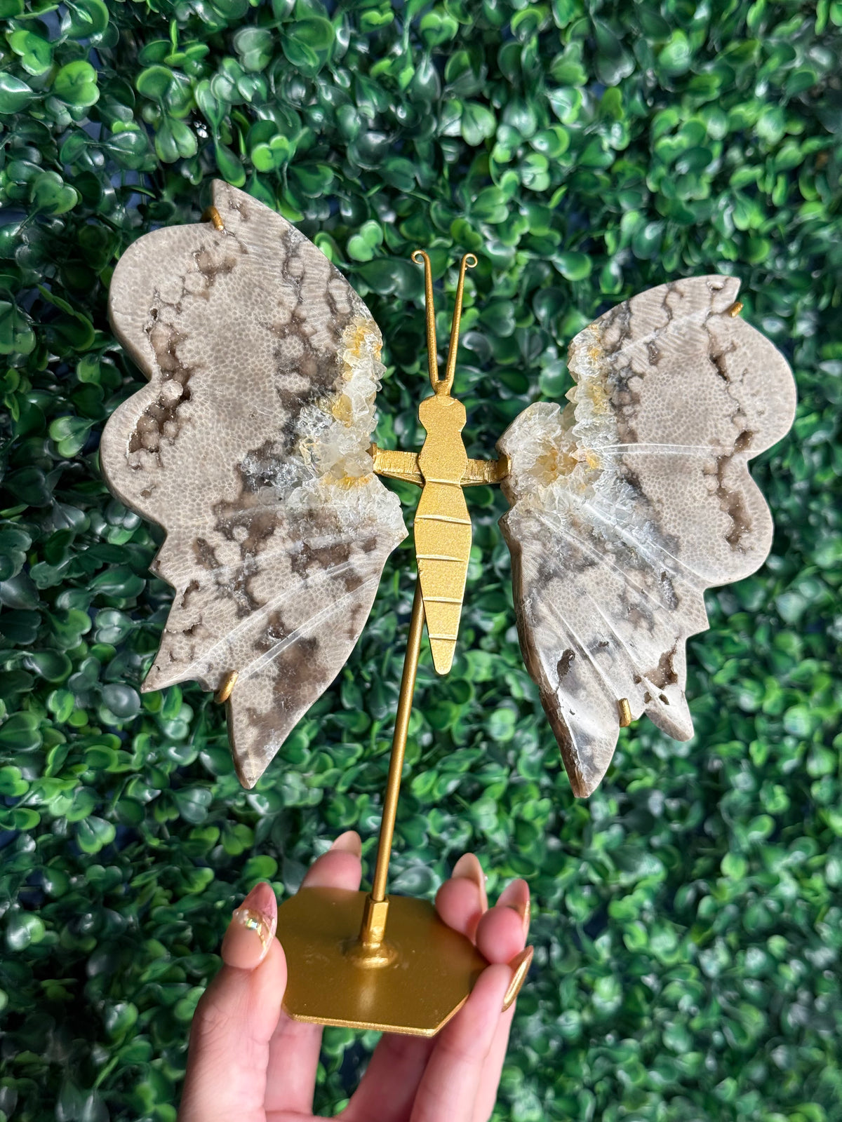 Chocolate Ocean Jasper with Quartz Butterfly Wings from Indonesia
