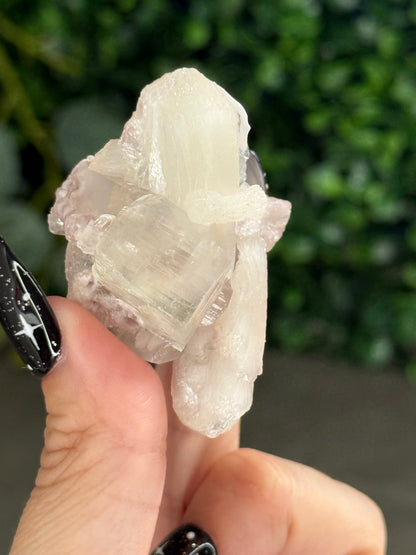 Pink & Green Apophyllite Specimens - E