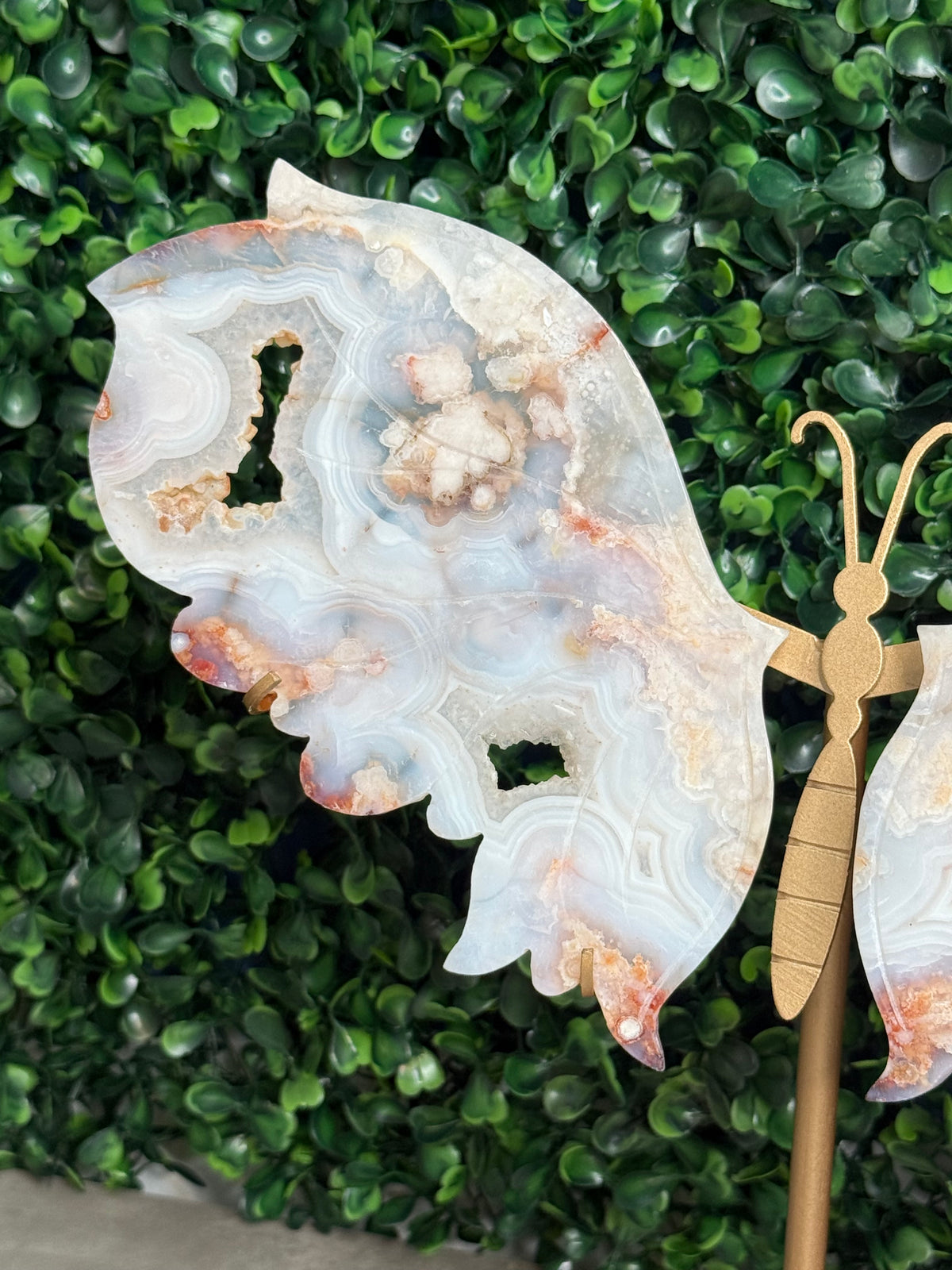Carnelian Flower Agate Butterfly Wings Crystal Carvings - Large Size - M