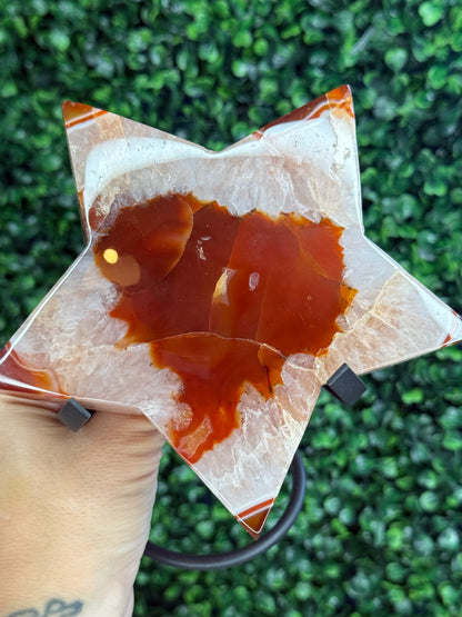 Large Red Agate Star with Stand - 700g