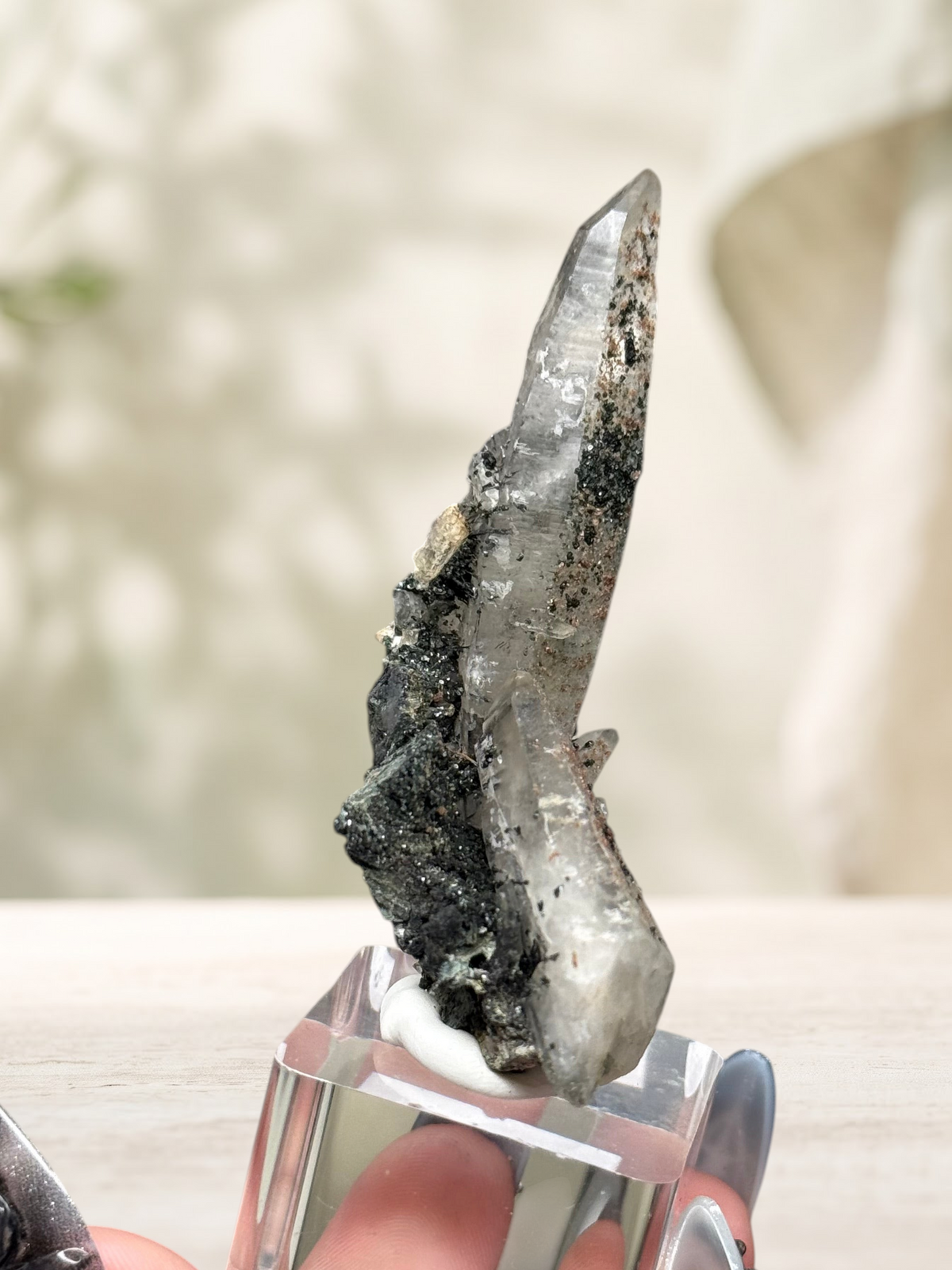 Crystal Glade laser quartz specimen from Balochistan, Pakistan, featuring a slender, tapering crystal on a clear base.