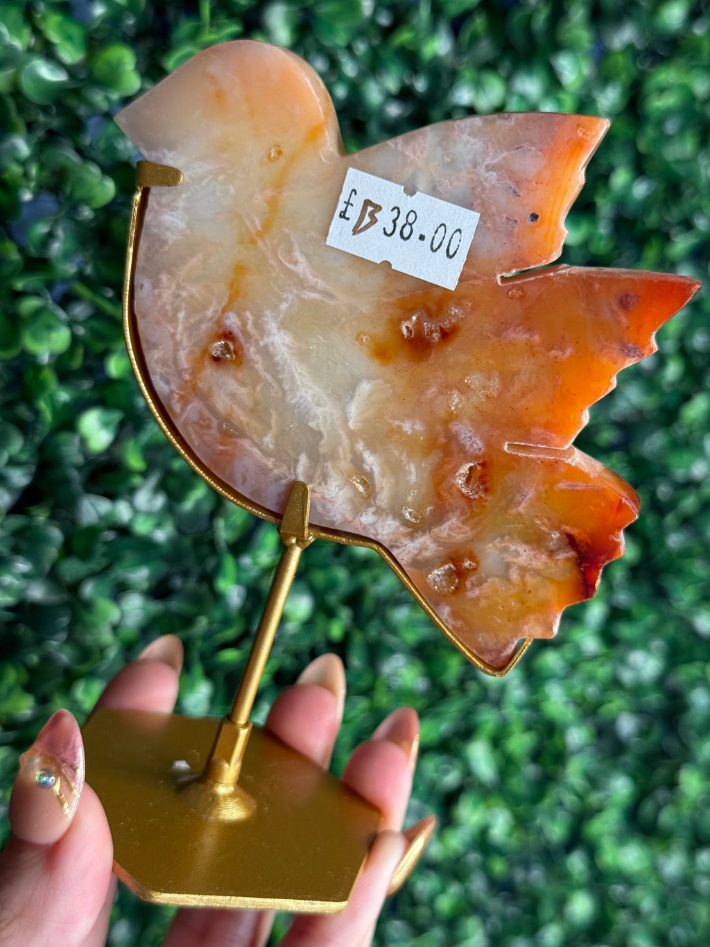 Carnelian Bird Crystal Carving from Indonesia - B