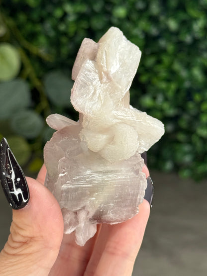Pink & Green Apophyllite Specimens - X