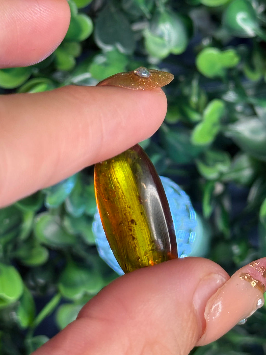 Burmese Cretaceous Amber (UV Fluorescent) with Insects and Inclusions B
