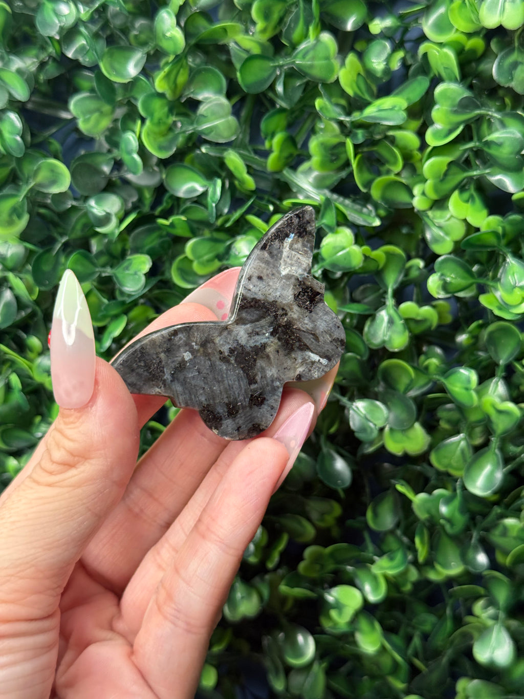 Larvikite Mini Butterfly Crystal Carvings - Pakistan